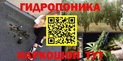 эйфоретик Котовск