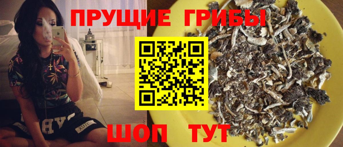 сколько стоит  Вход с VPN  Астрахань  Псилоцибиновые грибы Psilocybe 