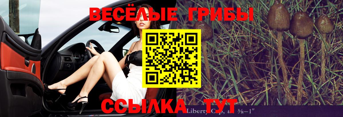 Галлюциногенные грибы Magic Shrooms Астрахань